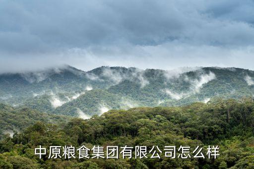 河南中原农业怎么样，如果少了河南省会怎样
