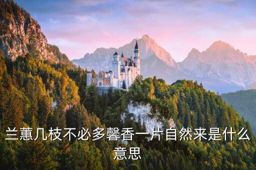兰蕙几枝不必多馨香一片自然来是什么意思