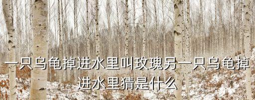 一只乌龟掉进水里叫玫瑰另一只乌龟掉进水里猜是什么