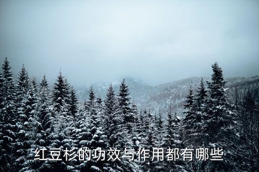 红豆杉功效，红豆杉的功效与作用都有哪些
