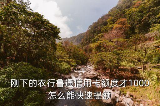 刚下的农行鲁通信用卡额度才1000怎么能快速提额