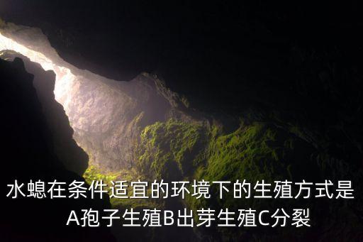 水螅的生殖方式，水螅的生殖方式通常是