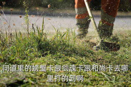 问道里的螃蟹卡跟剑魂卡跟和尚卡去哪里打的到啊