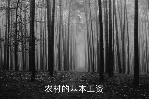 农村的基本工资