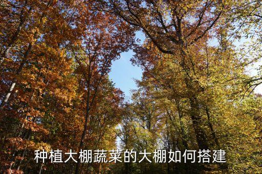 农业种植大棚怎么样做，怎样建蔬菜大棚