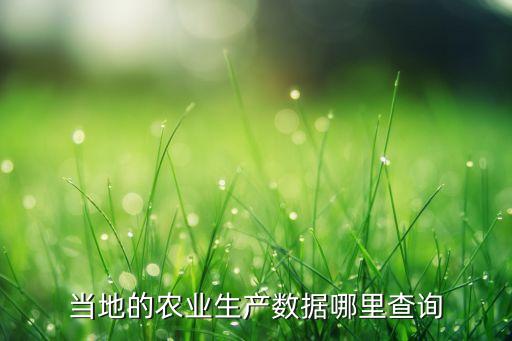 当地的农业生产数据哪里查询