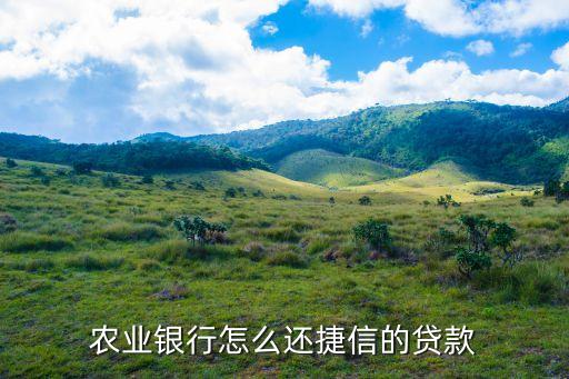 农业信贷特别版怎么还款，农行精准扶贫贷款利息怎么还