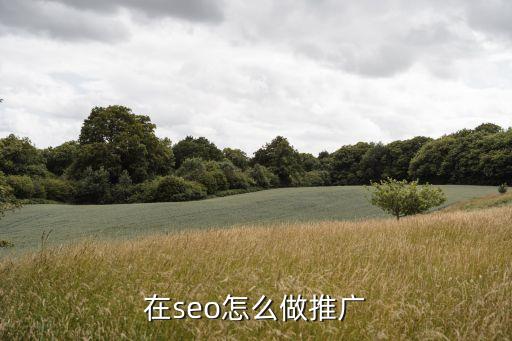 宜昌农业seo推广怎么做，在seo怎么做推广