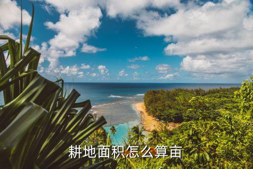 耕地面积怎么算亩