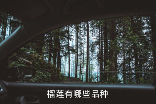 榴莲有哪些品种