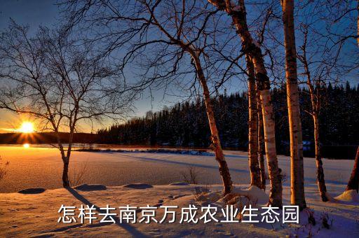 南京认养农业怎么样，农业认养认养农产品这个你们有什么看法