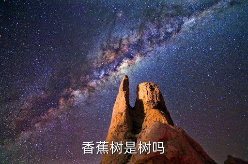 香蕉树是树吗