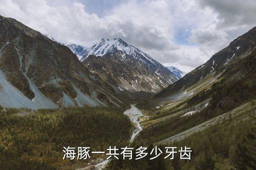 海豚一共有多少牙齿