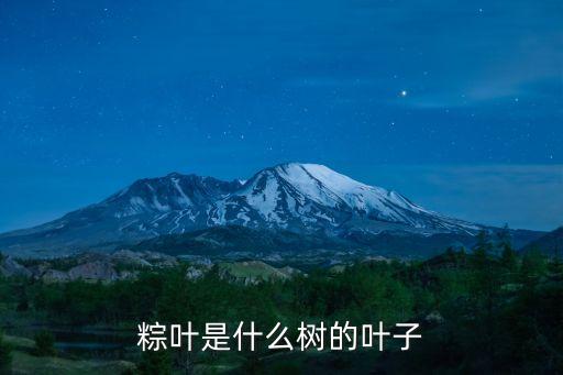 粽叶是什么树的叶子，包粽子的叶是什么叶