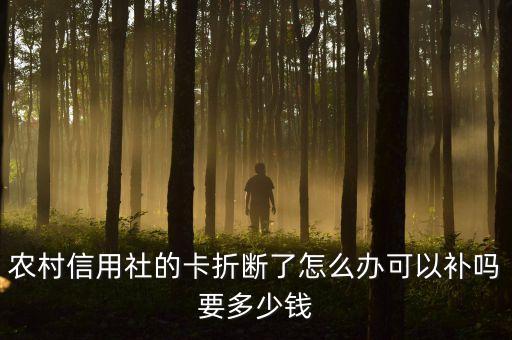 农业用户卡坏了怎么办，中国农业银行的卡坏了想补办张新的需要怎么做