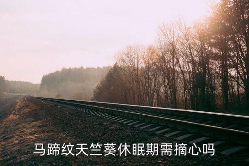 马蹄纹天竺葵休眠期需摘心吗