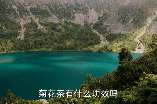 菊花泡水喝的功效，菊花茶喝了有什么作用