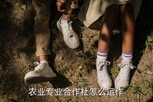 农业合作社怎么运营，农业专业合作社怎么运作