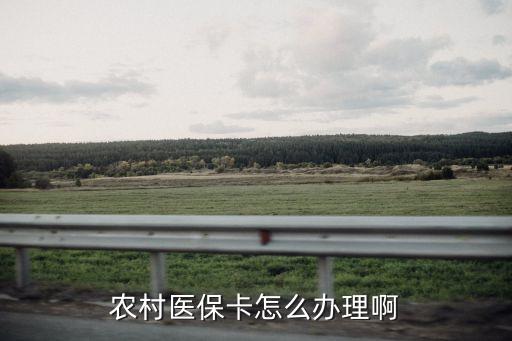 怎么申请农业医保卡余额，农村医保卡怎么办理啊
