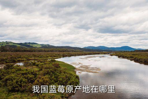 蓝莓原产地，我国蓝莓原产地在哪里