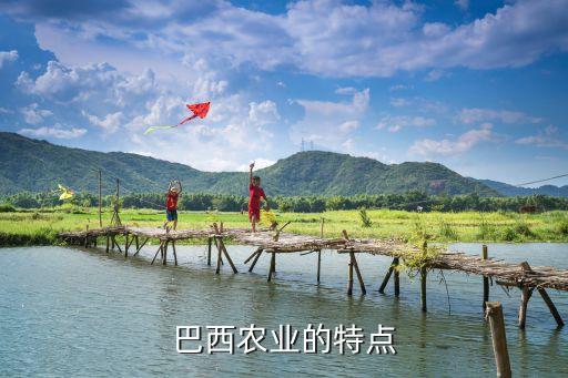 巴西农业基础好该怎么形容，巴西的农业主要集中在东南沿海以热带经济作物为主的产量居