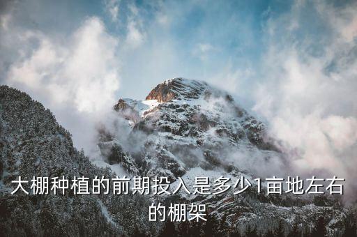 大棚种植的前期投入是多少1亩地左右的棚架