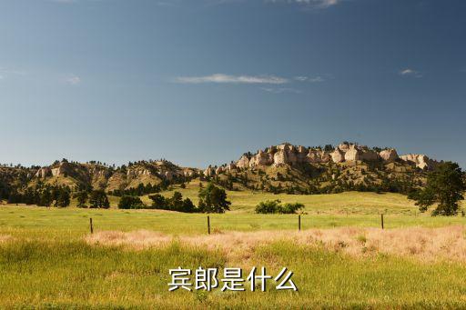 宾郎，宾郎是什么