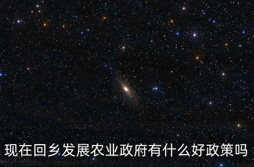 现在回乡发展农业政府有什么好政策吗