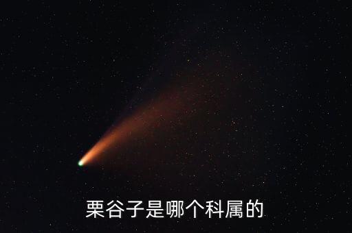 栗谷，栗谷子是哪个科属的
