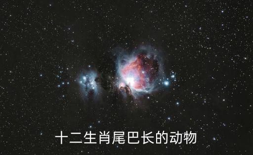 长尾巴的动物，什么动物尾巴最长