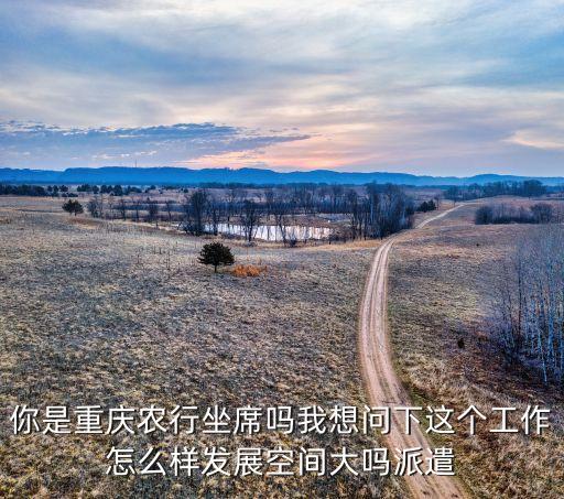 重庆金银谷农业怎么样，你是重庆农行坐席吗我想问下这个工作怎么样发展空间大吗派遣