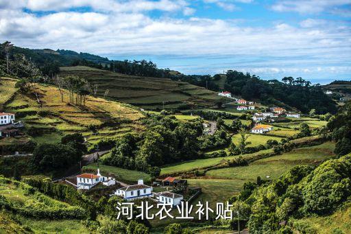 河北农业补贴