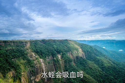 水蛭吸血，红色水蛭会吸血的