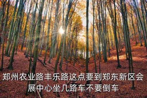 会展中心怎么去农业路，想知道 郑州市 从农业路东三街到会展中心怎么坐公交