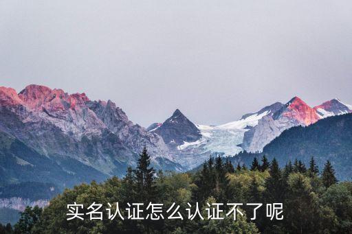 实名认证怎么认证不了呢