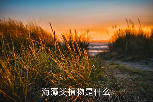 海藻类，海藻类植物是什么