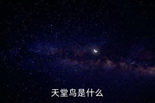 天堂鸟是什么
