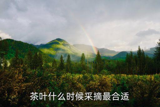 茶叶采摘，茶叶什么时候采摘最合适