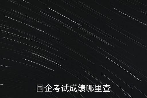 国企考试成绩哪里查