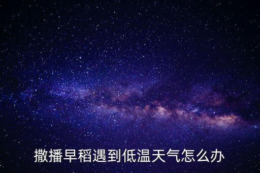 农业农村低温下雨怎么办，撒播早稻遇到低温天气怎么办