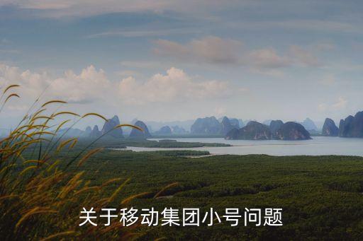 关于移动集团小号问题