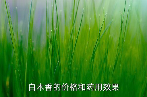 白木香，白木香是沉香的一种吗