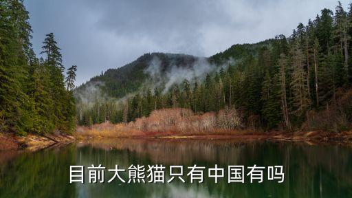 只有中国有大熊猫吗，大熊猫是不是只有中国有