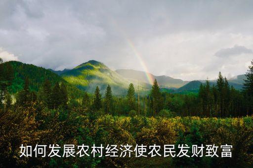 如何发展农村经济使农民发财致富