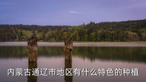 通辽农业怎么样知乎，在内蒙古通辽市地区种植枸杞可以吗产量怎么样懂这行的指点一