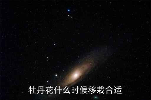 牡丹什么时候移栽，几月移栽牡丹花成活率高点