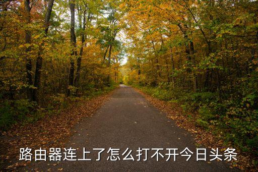 路由器连上了怎么打不开今日头条