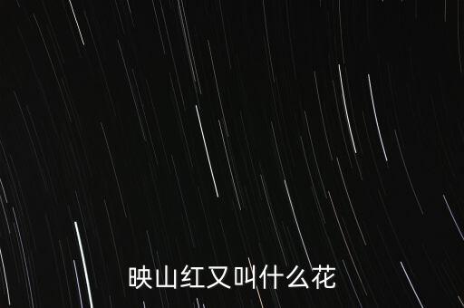 映山红又叫什么花