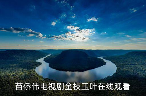 苗侨伟电视剧金枝玉叶在线观看