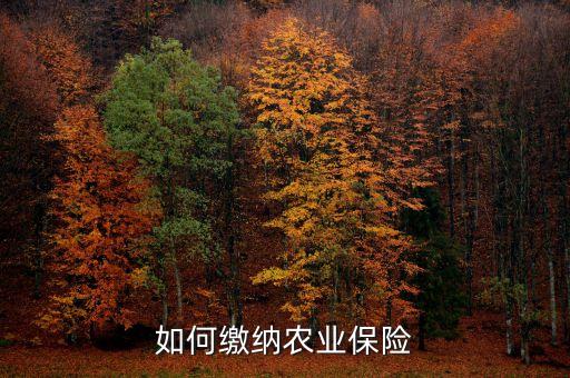 中原农业小麦险怎么买保险，请问可以给小麦买保险的吗 在哪买我在山东承保了500亩地 如